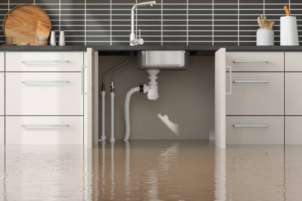 Best Water damage restoration near me  in Gwinn, MI